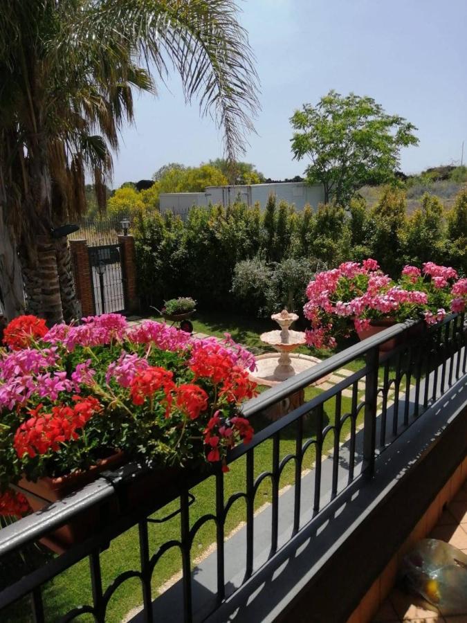 B&B Villa Salome' San Pietro Clarenza Ngoại thất bức ảnh